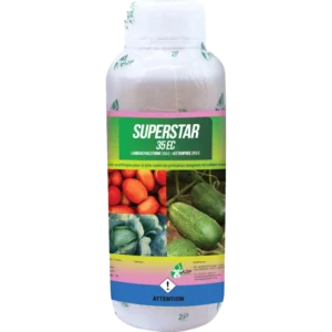 SUPERSTAR 35 EC
