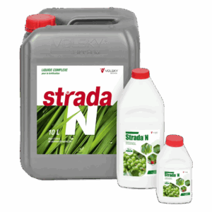 Strada N