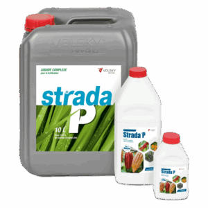 Strada P