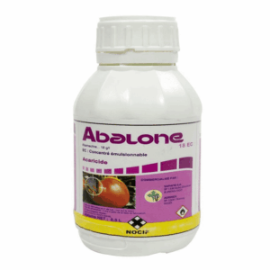 ABALONE 18 EC